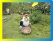 Tours Callahuanca y La Piedra del Corazn