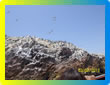 Tours Paracas