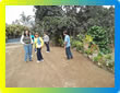 Tours Para Empresas