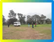 Tours Para Empresas
